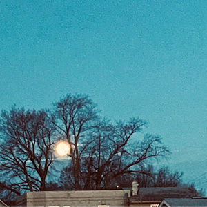 Meet your Posher, Visal